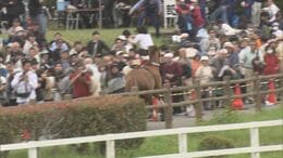 「倒されてそのまま馬乗りに…」相馬野馬追で馬が脱走、6人けが　市長「改善策を検討」福島・南相馬市　|　福島のニュース│TUF