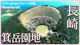 火口を縁取る島の桜 長崎県・五島市 箕岳園地【JNN sakuraドローンDIG 2023】|TBS NEWS DIG