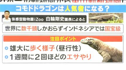 世界に数千頭しかいないコモドドラゴンが名古屋に 河村たかし市長が