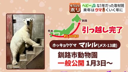 ヒグマだけじゃなかった…2025年北海道の動物の話題《闘いと絆