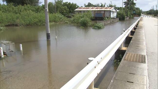 水が溜まった道路で泳ぐ魚も　台風の影響で冠水が続く大東島地方　北大東村では自衛隊による排水作業を実施|TBS NEWS DIG