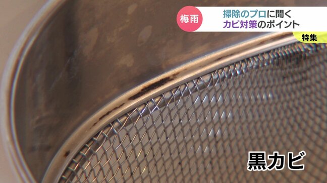 「戦うより予防を」梅雨入り前に…掃除のプロに聞くカビ対策　ポイントは「温度」「湿度」「カビの栄養素」の除去|TBS NEWS DIG