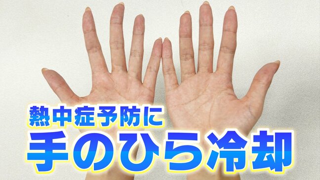40℃超が続出…8月は猛暑の“ヤマ場”となるところも… 熱中症対策に効果的な「手のひら冷却」とは?専門家に聞いた【MBSお天気通信】|TBS NEWS DIG