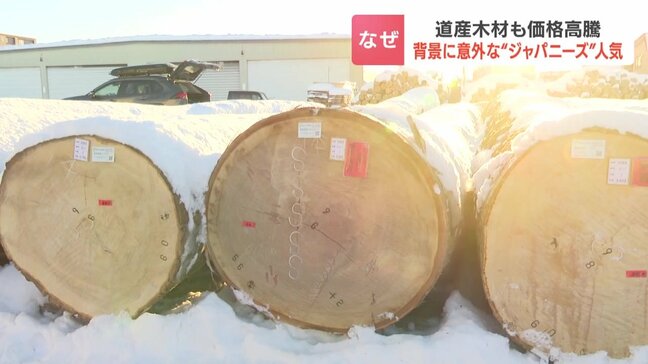 なぜ？丸太1本が460万円…北海道産「マカバ」に高値　国産材の高騰続く背景にジャパニーズウイスキーの樽需要|TBS NEWS DIG