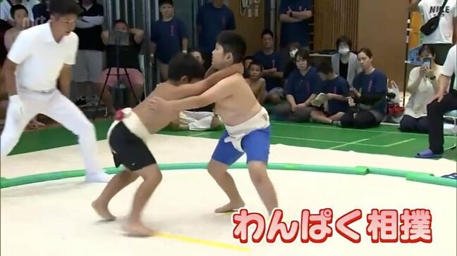 延岡市でつわものが集う「わんぱく相撲」宮崎県予選大会|TBS NEWS DIG