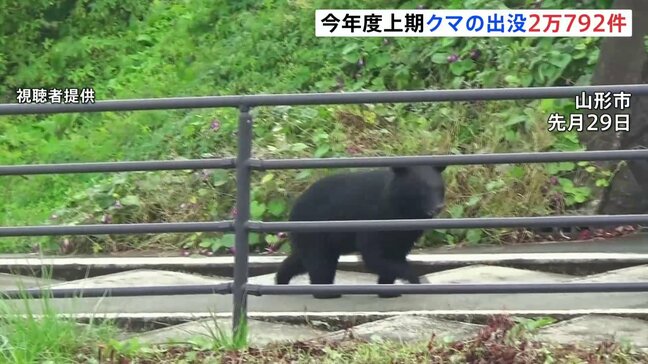 今年4月～9月のクマの出没件数2万792件 過去最多の年を大きく上回るペース　クマによる死者は12人　環境省|TBS NEWS DIG