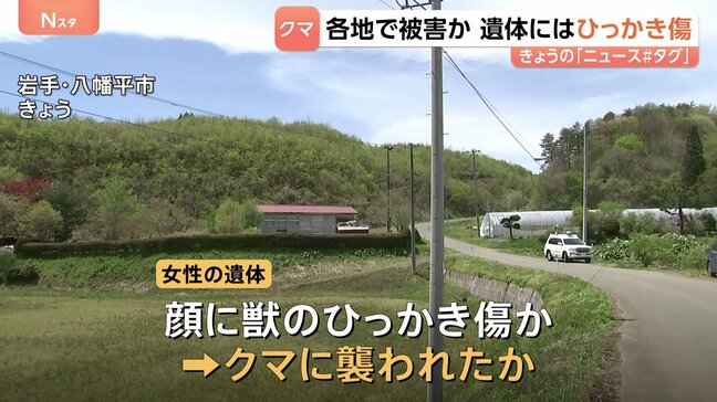 各地でクマ出没 岩手で女性遺体 クマに襲われたか 遺体に“ひっかき傷”　山形では男性が体長約1mのクマに襲われる　顔や体にケガも命に別状なし|TBS NEWS DIG