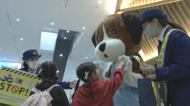 「海外から肉製品持ち込まないで」福岡空港で呼びかけ　年間の摘発件数は20万件にも|TBS NEWS DIG