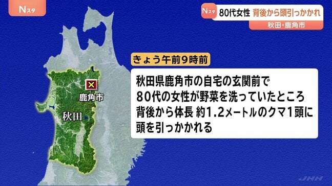 80代女性がクマに襲われけが 玄関前で野菜を洗っていたところ背後から頭を引っかれる 秋田・鹿角|TBS NEWS DIG