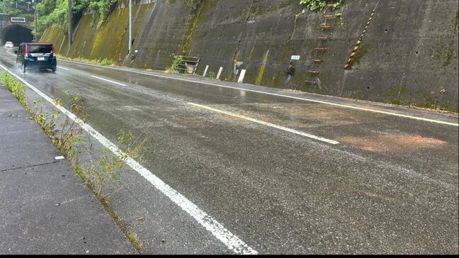 軽乗用車同士が正面衝突　東京から帰省中の男児（３）死亡　高知・越知町の国道|TBS NEWS DIG