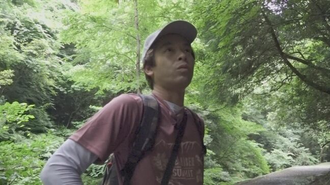 珍種・新種続々発見　自然観察指導員に聞く夏休み自由研究の極意は？|TBS NEWS DIG