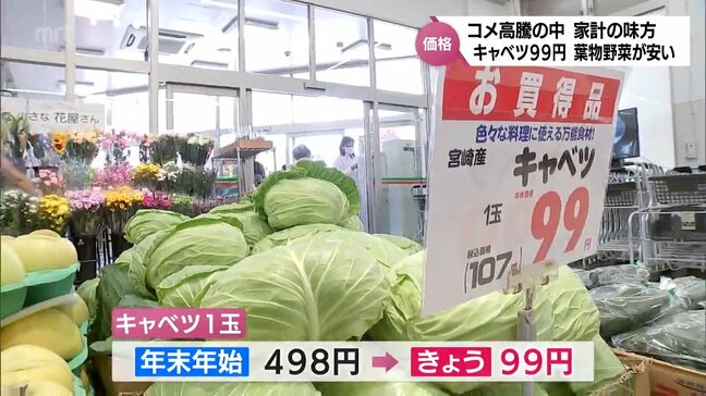 コメ高騰の中 家計の味方!　キャベツ1玉99円　葉物を中心に野菜がお買い得!!|TBS NEWS DIG