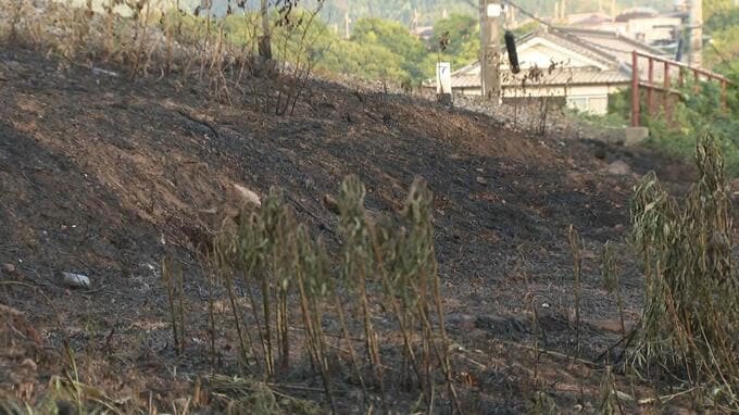 関西各地で「野焼き」原因とみられる火事相次ぐ　18日だけで少なくとも4件　廃棄物処理法で「原則禁止」なのになぜ…行政の担当者“農業者も野焼きは控えて”　|　MBSニュース | 関西の最新ニュースを分かりやすく。