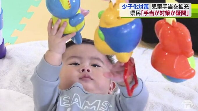 「児童手当で対策になるかは疑問」政府が決定した「こども未来戦略方針」で児童手当拡充へ　青森県民の思いは…|TBS NEWS DIG