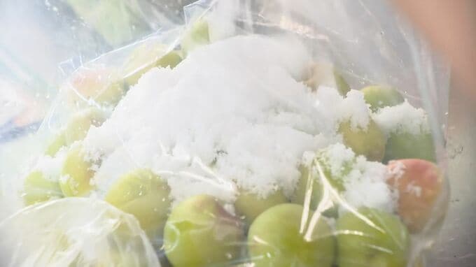 しょっぱいけどうまい 昔ながらの梅干しづくり　|　石川県のニュース｜MRO北陸放送