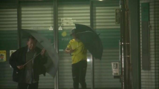 【台風6号】愛媛県内に爪痕　倒木の被害相次ぐ　6月観測史上最大の雨風|TBS NEWS DIG