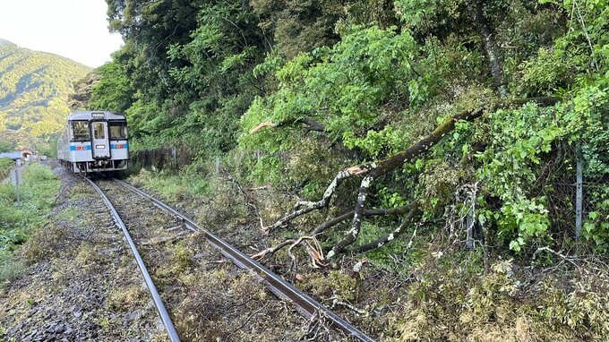 土讃線、2か所で倒木と列車が接触⋯特急「あしずり」と普通列車、けが人なしも遅れ・運休が発生【大雨の影響・高知】　|　高知のニュース・天気｜KUTV NEWS | KUTVテレビ高知