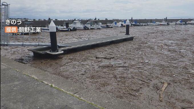 大量の流木とアシが漁港を覆う　雨の影響か、翌日には風で沖に戻される　富山県魚津市　|　富山のニュース｜天気・防災｜チューリップテレビ
