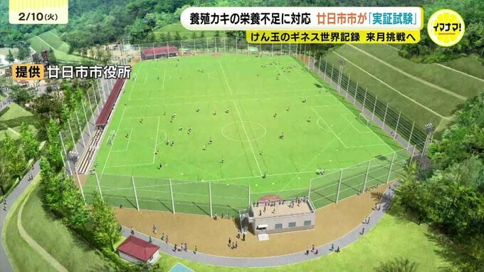 養殖カキの「栄養不足解消」へ実証試験　再整備の総合スポーツ公園で「けん玉ギネス記録」挑戦へ　広島・廿日市市|TBS NEWS DIG
