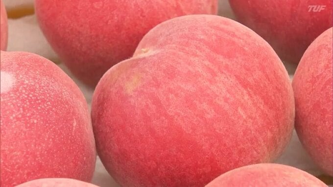 甘みと香りが特徴　早生種の「ひめまるこ」収穫始まる　例年より1週間近く早く　福島・伊達市　|　福島のニュース│TUF