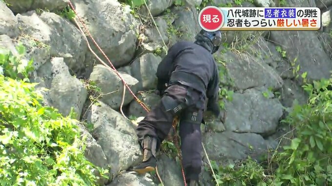 「夏の活動は午前中だけ」 厳しい暑さに忍者も苦戦　八代城跡の石垣で草取り|TBS NEWS DIG