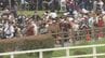 「倒されてそのまま馬乗りに…」相馬野馬追で馬が脱走、6人けが　市長「改善策を検討」福島・南相馬市　|　福島のニュース│TUF
