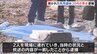 生後間もない赤ちゃんの遺体、海岸で焼き…20歳24歳の男女逮捕　防犯カメラ解析→宿泊施設で2人発見　静岡|TBS NEWS DIG