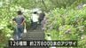 126種類　2万8000本のアジサイ見ごろ　|　MRTニュース ｜ ＭＲＴ宮崎放送