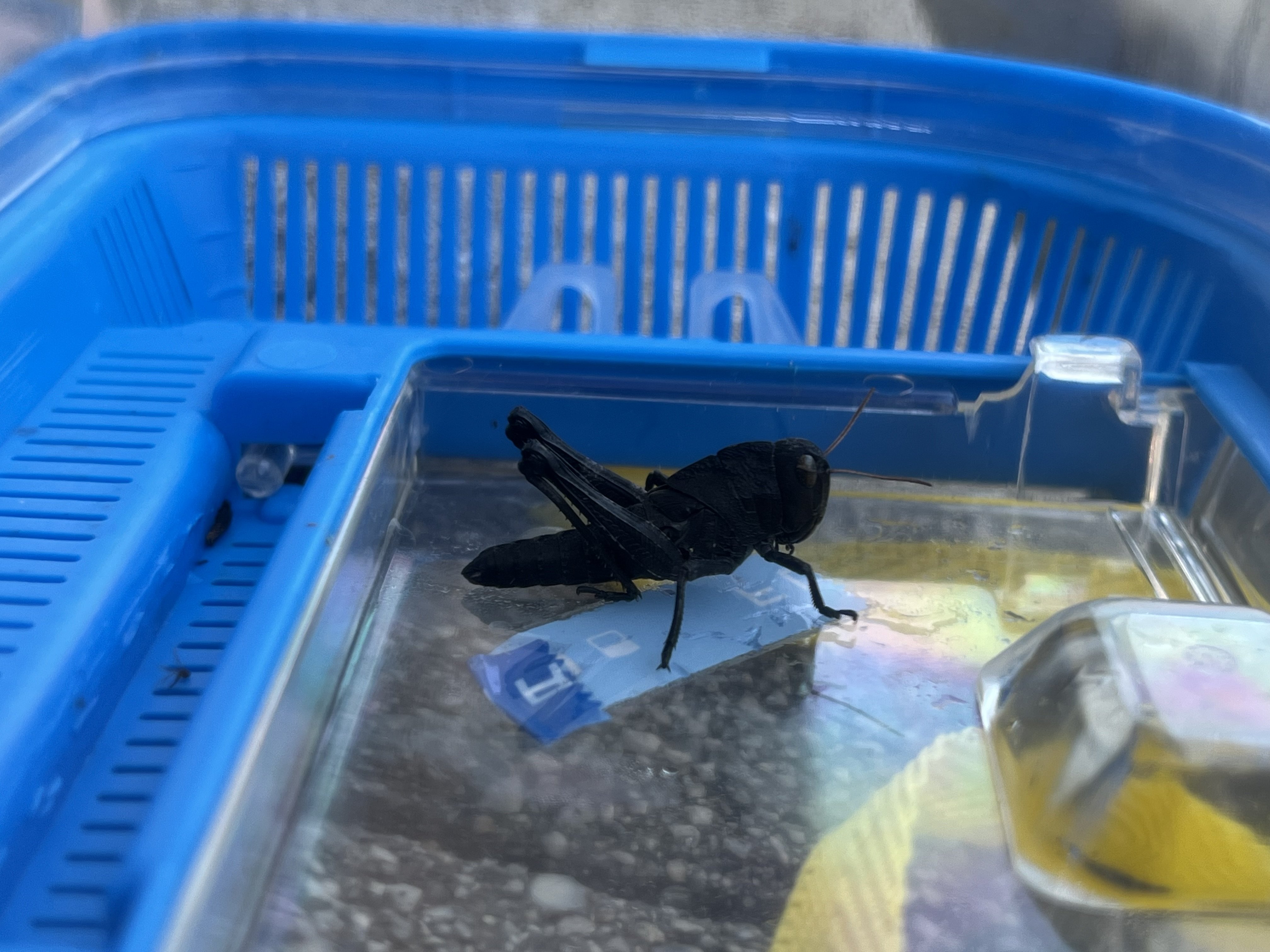 img_b808edef2f8b29156a5824aa58