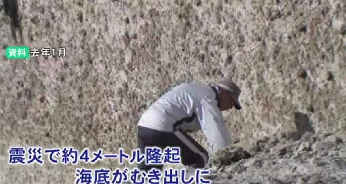 ようやく港に戻れる」能登半島地震で4メートル隆起の漁港 水揚げ再開