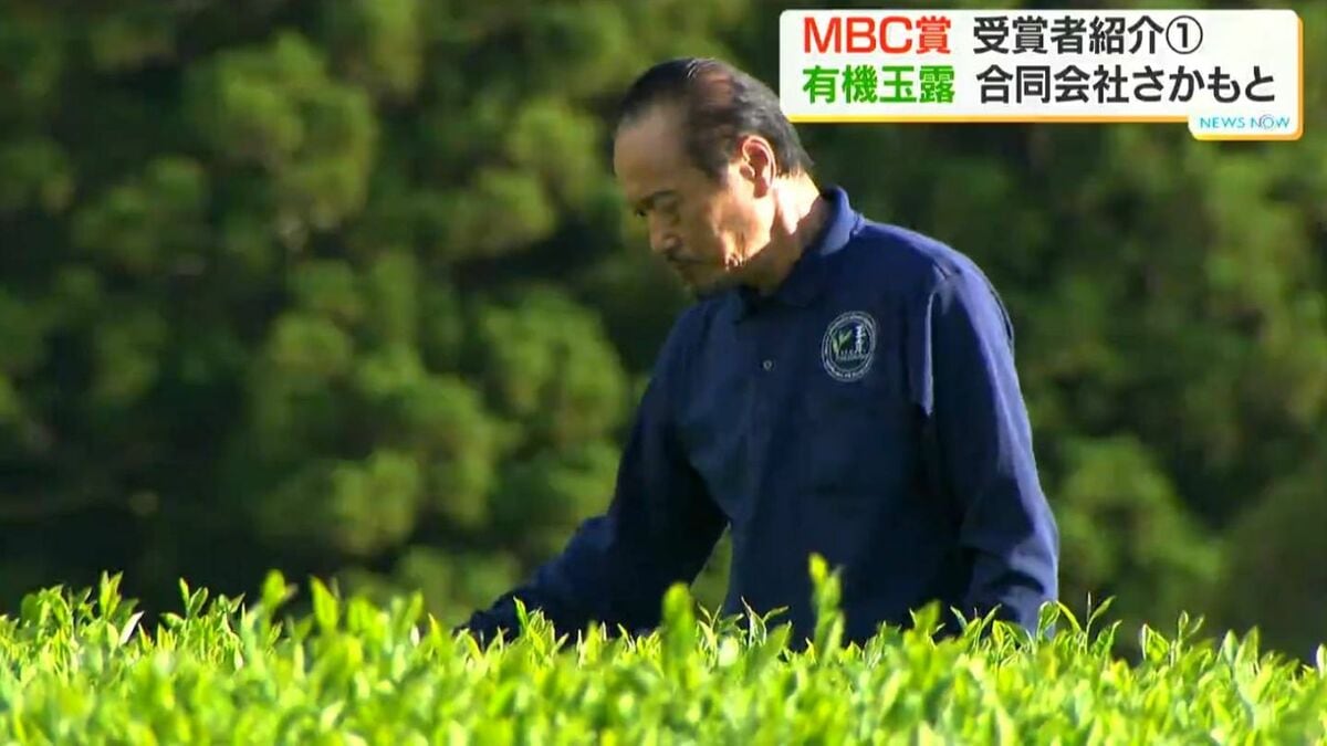 苦節経て海外へ販路 取引価格せん茶の約10倍「有機玉露」にこだわる老舗茶農家3代目　【MBC賞・合同会社さかもと】