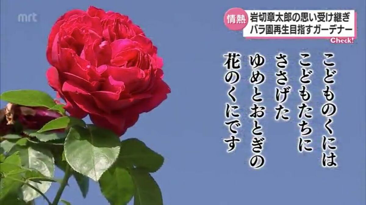 ゆめとおとぎと花のくに」 「観光宮崎の父」の思いを受け継ぎ バラ園