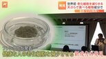 “老化細胞”を減らせる新成分を発見!老化は治す時代へ!?|TBS NEWS DIG
