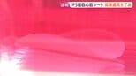 iPS細胞心筋シート「リハート」医療保険の適用を了承　心不全の治療用|TBS NEWS DIG