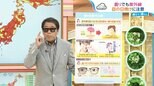 “目”も日焼けする!?「濃ければいいわけじゃない」サングラス選びのポイント【ひるおび】|TBS NEWS DIG