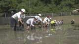 小学生が田植えを体験 愛知・豊田市 | 名古屋・愛知・岐阜・三重のニュース【CBC news】 | CBC web