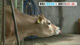引っ越しを嫌がるブタ・・・でも、新たな校舎では広さ1.5倍!? 東海大臨空校舎|TBS NEWS DIG