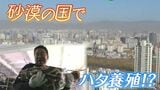 内陸国・モンゴルで “海水魚” を養殖「人口100億時代 の世界的食糧難を見据えて」壮大なプロジェクト進行中!|TBS NEWS DIG