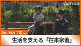 動物に触れて学ぶ 生活を支える在来家畜を知る「家畜ふれあいまつり」 沖縄こどもの国 | 沖縄のニュース|RBC 琉球放送