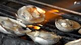 地引網体験に興奮、焼き牡蠣を堪能…2024年GWは「安・近・短」 新型コロナ5類移行と円安で=静岡県 | 静岡のニュース | SBSNEWS | 静岡放送