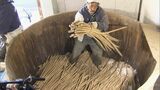守口だいこんの漬け込み始まる 2年でべっこう色の守口漬けに | 名古屋・愛知・岐阜・三重のニュース【CBC news】 | CBC web