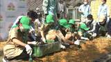 全国植樹祭で岡山を訪れる人にプレゼント 後楽園を彩る樹木から育てた苗木の鉢上げ【岡山】|TBS NEWS DIG