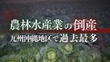 九州の農林水産業の倒産28件　過去最多に　「円安」「物価高」「人件費の高騰」が食の安全保障、直撃|TBS NEWS DIG