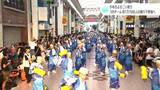 ２０２４年のよさこい祭り　１８９チーム約１万７０００人の踊り子参加へ　県内12チーム、県外9チームが初参加（高知）|TBS NEWS DIG