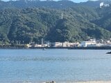 水泳大会参加の70代男性が意識不明の重体「大会中におぼれて心肺停止の状態」大会関係者が119番通報=静岡・熱海市|TBS NEWS DIG