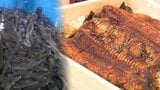 その味わいは"高級ウナギ" 浄化施設の温水でウナギを養殖するプロジェクト 環境に優しくコスト減にも期待...二酸化炭素を年間約3500トン削減へ=浜松市|TBS NEWS DIG