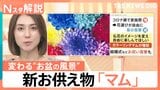 「夜のお墓参り」が新定番に?普段使いしたくなるお供え物「マム」って?らくがん“レンチン”で新食感【Nスタ解説】|TBS NEWS DIG