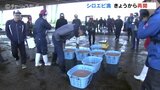 20日ぶりにシロエビ漁が再開も…かご5つと少しで180キロ 漁師「がっかり」 富山・射水市 | 富山のニュース|天気・防災|チューリップテレビ