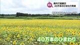 都城市で40万本のひまわりが見ごろに 宮崎県内は18日も猛暑日 19日も厳しい暑さが続く見込み | MRTニュース | MRT宮崎放送