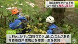 キノコ採り男性が山岳遭難 捜索も発見できず|TBS NEWS DIG